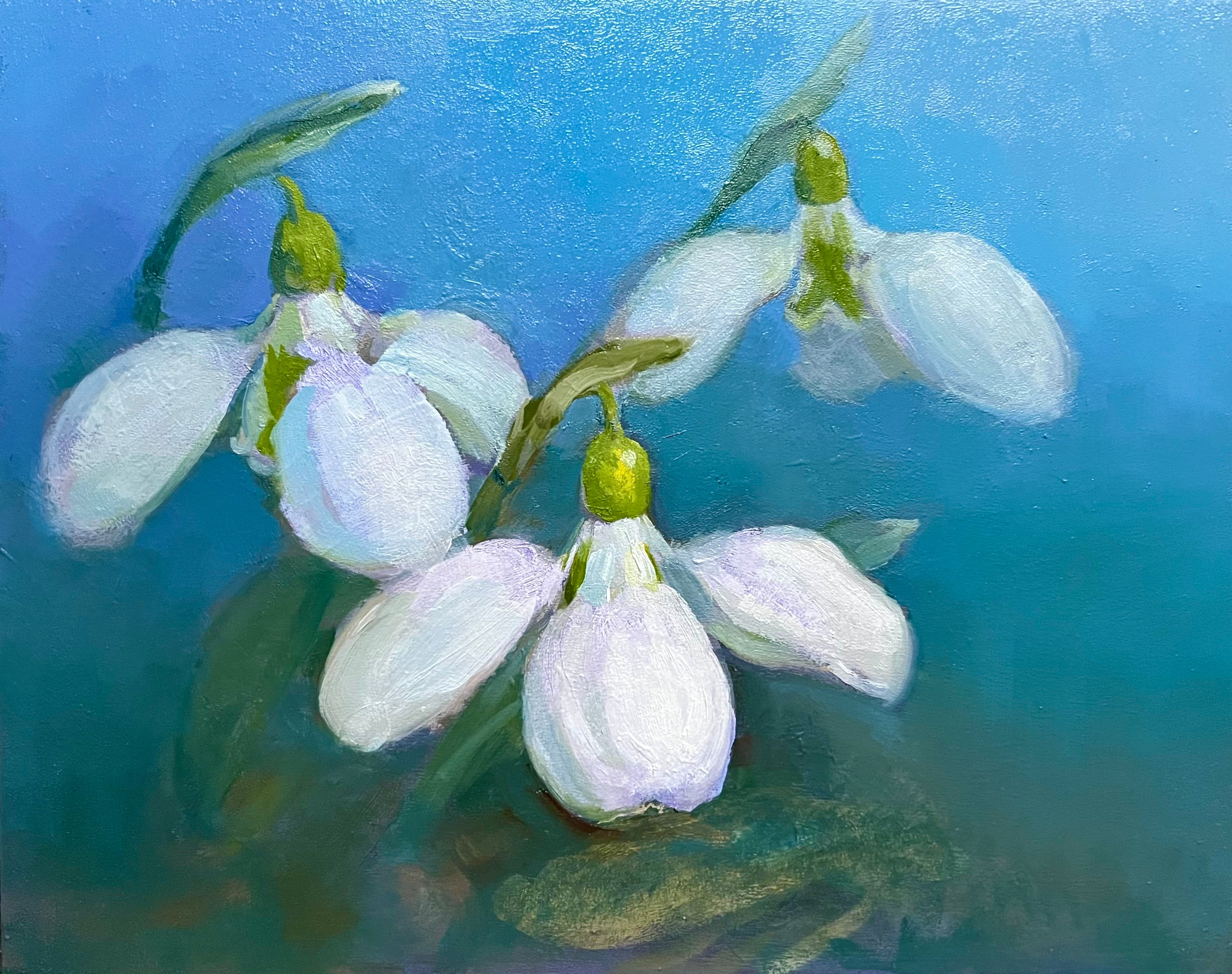 Snowdrops American Galanthus bulbs for sale grown in the USA – Gerald ...